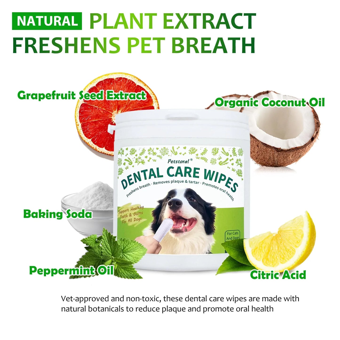 Petstoral Dental Cleaning Kit, Dental Care Wipes to Clean Plaque on The Surface of The Teeth, Beef Liver Flavour Dental Powder with Probiotic to Solve Oral Problems from The Inside of Digestion
